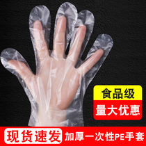 Disposable gloves thickened durable medical food hygiene transparent film household hairdressing hand film gloves women Wholesale