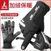 Phoenix riding gloves plus velvet non-slip wear-resistant cold-resistant full finger sports mountaineering outdoor bicycle fitness equipment