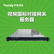 Universe Great Career Video National Standard Docking Gateway Server TC-S9334-LXH