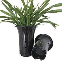 Simple Orchid Pot Black Plastic Orchid Pot Melanin Bottle Large Middle Small