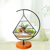 Air Pineapples Sloth plant potted red elf micro-landscape indoor iron frame geometric glass flower room negative ions