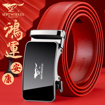 Seven wolves belt mens leather natal year red belt belongs to cattle high-end wedding gift automatic buckle pants belt male year of the ox