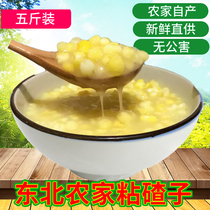 Sticky big dumplings Northeast farmers self-produced corn dumplings glutinous rice stubble stubble scum medium-size dustcongee Heilongjiang