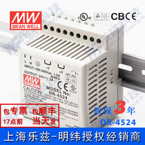 DR-4524 Taiwan Mingwei 45W24V rail type switching power supply 2A DC regulated DC industrial control PLC sensor