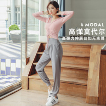 Sports Suit Womens Summer New Fitness Room Yoga Service 2022 New Professional Modell Mesh Red Elastic Speed Dry Clothing