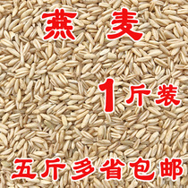 Oat bird food bird food brooke wheat wild wheat oat kernel budgerigar peony xuanfeng a 500g