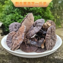 Wild Black Lingzhi 500g Guizhou Lin Lower original ecological imitation wild cultivation of Lingzhi Dry goods a catty