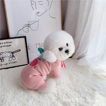 Fruit flavor bow four-legged clothes ~ puppy cat pet clothes stretch cotton comfortable and breathable than bear teddy