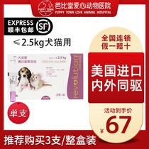 Great Favorites in vitro Insect Repellent Young Cat Kittens inside and outside the body Insect Repellent for Insect Repellent single-branch