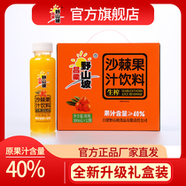 Lvliang wild hillside sea buckthorn juice Whole box 40% juice content Raw sea buckthorn juice net red drink 300ml*12 bottles