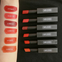 Lipstick affordable student niche brand Velvet Matte tomato pumpkin cow blood bean paste aunt Color Sample