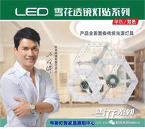 New Europe and the United States light source LED snowflake ceiling lamp transformation lamp board lamp Round energy-saving lamp paste core lamp beads new products