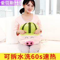 Aibass hand warmer cute plush electric warm treasure waterless plug electric heater bag double hand removable wash hot water bag warm treasure