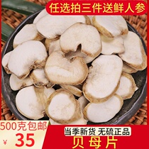 Fritillaria 500g g Fritillaria Fritillaria big Fritillaria Zhebei Chinese herbal medicine Fritillaria has Pingbei Chuanshen