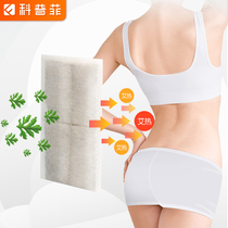 keepfit wormwood bag Wormwood velvet bag wormwood with electric waist and neck protection use 5 pieces