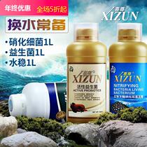 Xizun Concentrated Nitrifying Bacteria Probiotic Water Quality Stabilizer Dragon Fish Tank Water Purifier Digestive Bacteria Water Quality Maintenance