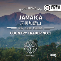 Black Diamond Jamaica Blue Mountain NO 1 washed medium roasted single hand-punched boutique coffee beans 100g