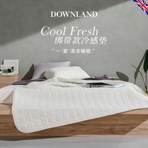 DOWNLAND cold-sense mattress soft cushion house mattress with mattress mattress dormitory summer cold cable machine washable water