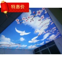UV soft film smallpox transparent film large format waterproof and anti-drying oil photo printing processing pull cloth light box spray painting factory