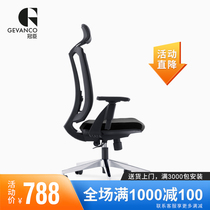 Guanchen computer chair Home leisure office Executive chair Lifting armrest movable waist support staff chair Mesh yarn