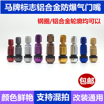 Car tire valve nozzle stainless steel aluminum alloy explosion proof steam door nozzle cap core vacuum tire 100