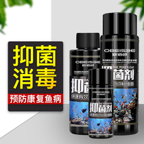 Aquarium fish tank sterilization Koi fish medicine White spot disease fish breeding supplies goldfish rotten meat tail Aquarium box potion