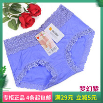 Daisy girl 21533 high waist lace panties female modal large size summer womens underwear super soft pants