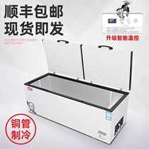 Double compressor copper tube large freezer commercial large capacity refrigeration freezer double door refrigerator display cabinet horizontal freezer