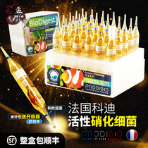 Cody nitrifying bacteria French Bio-Nahai aquatic digestive bacteria water quality trace element water purifier for fish tanks