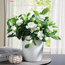 Gardenia Flowers Large Basin Four Seasons Open Flowers Potted Indoor Office Desktop Green Plant Purifying Air Suction