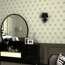 American Import Pure Paper Wallpaper Light Extravagant Modern Minimalist Fashion Black & White Champagne Golden Living Room Bedroom Background Wall Paper