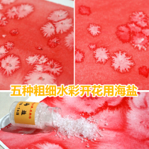 (Debris pile) Sea salt 30g plastic bottle special package-Watercolor props-flowering special texture effect