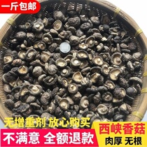New premium shiitake mushrooms small mushrooms dry goods 500g farmhouse extra small dried mushrooms commercial bulk Henan specialty