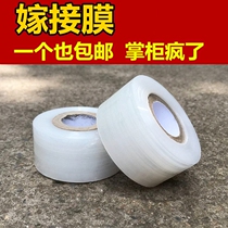 A roll of rose trees Fruit tree frame film grafting self-adhesive transparent conjunctival bandage New agricultural 2cm3cm