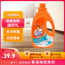 Mr Wilfera ground detergent floor to stain maintenance decontamination of bacteria 2kg marine fresh