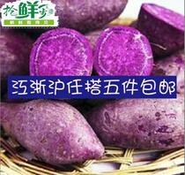 Fresh purple potato Black potato Purple Sweet Potato Vietnamese Purple Sweet potato 500g Jiangsu Zhejiang and Shanghai five catties