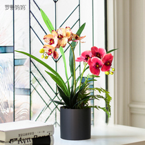 Roman Mom Fake Flowers Potted Plant Emulation Butterfly Lan Suit Living Room Genguan Office Table Tea Table Decorative Pendulum