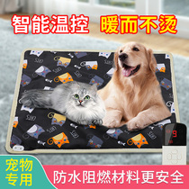 Pet Electric Blanket Cat Pooch Heating Mat Cat Use Timed Constant Temperature Waterproof Anti-Grip Electric Bedding Mini Warmer