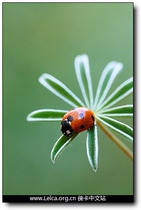 Battery Make-Up Link Make-Up Price