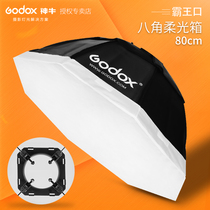 God cow 9 8cm overlord mouth 80cm octagonal softbox 200W 160W little pioneer elf soft mask