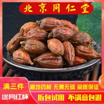 Tongrentang raw materials Chinese herbal medicine fried Gardenia 500g selected wild sulfur-free Red Gardenia yellow branches new fried branches