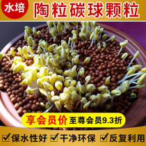 Fleshy nutrient soil Paving stone Volcanic rock Maifan stone Water purification particles Fish tank Landscaping hydroponics ceramic particles Carbon balls