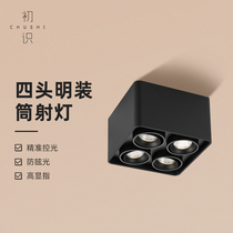 First-seen lighting light home living room ceiling lamp LED ceiling-type bucket dart lamp simple non-main lamp design