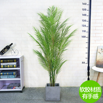 Clearance price ins Nordic large living room floor-to-ceiling simulation plant scattered tail sunflower Fake tree green plant Bonsai phoenix tail sunflower