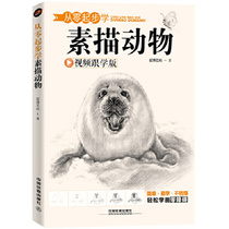 Classic Full Set Animal Speed Sketching Benzero Base Drawing Introductory New Hands Self-Learning Tutorial Book Line Sketching of Imitation Hand-painted Beginner scholars Painting teaching materials Lead stroke sketching sketch Sketch Sketch Sketch and American Academy Master Fan