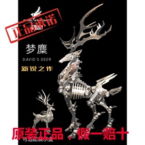 Steel Warcraft Metal Stereoscopic 3D Assembling Model Adult Ancient Style High Difficulty Hand puzzle 200 decompression puzzle