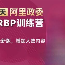 Zhang Lin의 24일 HRBP 마스터 교육 동영상 기업 인사 HR 3대 핵심 문화 시스템 관리 과정