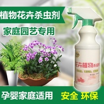 Green dill no low toxicity small black and white flying insect insecticide Begonia Osmanthus Bergamot flower wood flower insecticidal spray Household