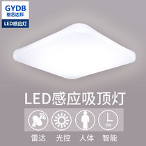 Human body sensor light led Stair light Radar corridor Garage entrance hall Ceiling light Entrance corridor Aisle light