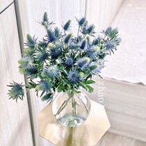 Imported Dutch Alpine celery can be used as dried flowers Jiangsu Shanghai Shunfeng high-end Flower family office flowers